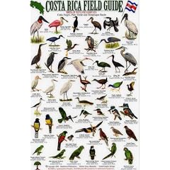 Birds of Wetland Habitats: Cano Negro, Palo Verde and Tempisque Basin (Costa Rica Field Guides)