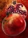 Artistic Still Life with Whole and Half Pomegranate Art Photographic Poster Print by Dieter Heinemann, 18x24
