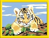Ravensburger 27898 - Kleiner Tiger - Malen nach Zahlen, 18x13 cm