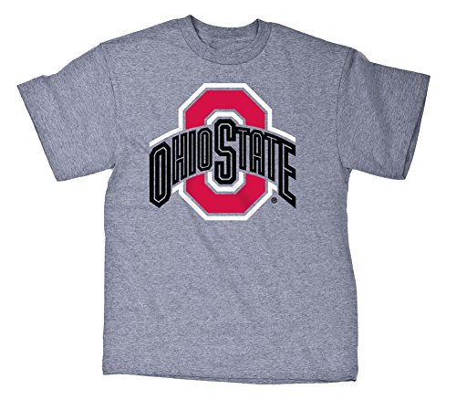 Ohio State Buckeyes TShirt Gray Icon - L - gray oxford