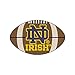 FANMATS 4411 Notre Dame Fighting Irish Football Rug - 20.5in. x 32.5in. | Sports Fan Home Decor Rug and Tailgating Mat - ND Primary Logo