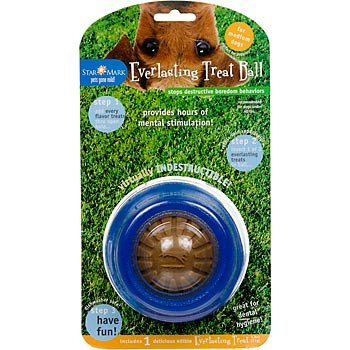 Everlasting Treat Ball Dog Toy, Medium Blue 2 Pk