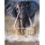 Untamed: Animals in the Wild: Animals Around The World