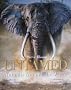 Untamed: Animals in the Wild: Animals Around The World