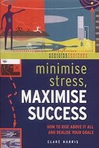 Minimise Stress, Maximise Success: How to Rise Above it All and Realize Your Goals (Positive Business)