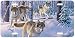Pack Attack - Wolf Art Print - License Plate by Randy McGovern from Airstrike, Inc.