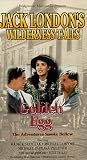 Golden Egg [VHS] [Import]