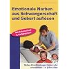Emotionale Narben aus Schwangerschaft und Geburt aufl�sen: Mutter-Kind-Bindungen heilen oder unterst�tzen - in jedem Alter