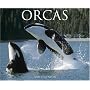 Orcas 2008 Calendar