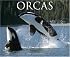 Orcas 2008 Calendar
