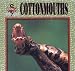 Cottonmouths (Fangs! An Imagination Library Series) by Eric Ethan