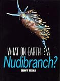 What on Earth Is a Nudibranch?