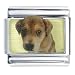 beagle48 - Beagle Puppy Photo Gift Italian Charm