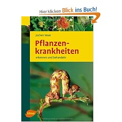 Pflanzenkrankheiten: Erkennen und behandeln