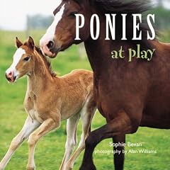 Ponies at Play