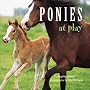Ponies at Play