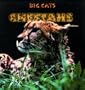 Cheetahs (Powerkids Readers: Big Cats)