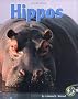 Hippos (Early Bird Nature)
