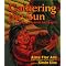 Wonderful Spanish Children's Books -Libros Buenos para Ninos