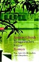 Bengalisches Feuer: Roman: Ooder Die Macht der Vernunft