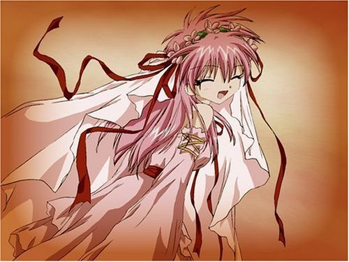 �M�����N�V�[�G���W�F��II ������L�̌� ��Ζ����̑b�Z�b�g�C���[�W