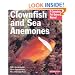Clownfish and Sea Anemones (Barron's Complete Pet Owner's Manuals)