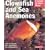 Clownfish and Sea Anemones (A Complete Pet Owner's Manual)