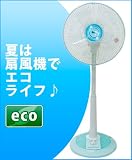 停電対策エコグッズ30cm5枚羽 扇風機  30cm メカ式リビング扇 KJ-D356MW