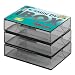 Electronics : Hama Mini Digital Video Jewel Case Transparent 3pack