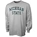 NCAA Michigan State Spartans Ash Vertical Arch Long Sleeve T-shirt