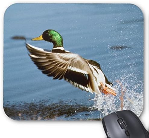 lisaKim Wild Duck Office&Gaming Rectangle Mouse Pad in 250mm*200mm*3mm