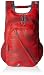 Skybags Blitz 26.5 Ltrs Red Casual Backpack (BPBLIFS2RED) RS.1315.00