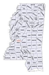 Natchez : Its Early History (Adams Co. MS) on CD