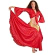 Choli Blouse and Skirt Set