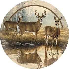 Reflections of Nature Sandstone Thirstystone Coasters by Thirstystone