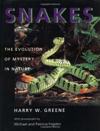 Snakes: The Evolution of Mystery in Nature (Director's Circle Book)