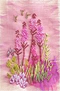 Willowherb Hedgerow