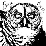 Nightlife by Erase Errata