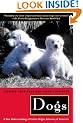 Dogs - A New Understanding of Cannine Origin, Behaviour & Evolution: A New Understanding of Canine Origin, Behavior and Evolution