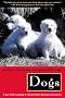 Dogs - A New Understanding of Cannine Origin, Behaviour & Evolution: A New Understanding of Canine Origin, Behavior and Evolution