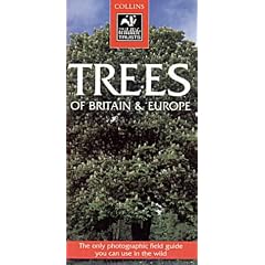 Trees of Britain and Europe (Collins Wildlife Trust Guides)