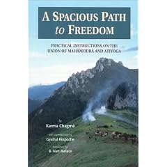A Spacious Path to Freedom: Practical Instructions on the Union of Mahamudra and Atiyoga