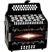 Musical Instruments : Full Size 3 Row Accordion - Black with Free Hardshell Carrying Case