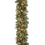 National Tree 9 Foot by 10 Inch Carolina Pine Garland with 27 Flocked Cones and 100 Clear Lights (CA