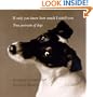 If Only You Knew How Much I Smell You : True Portraits of Dogs