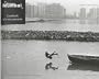 Picture Mumbai: Landmarks of a New Generation (Getty Conservation Institute)