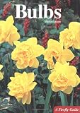 Bulbs (A Firefly Guide)