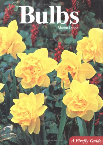 Bulbs (A Firefly Guide)