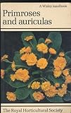 Primroses and auriculas