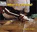 Books : What Is a Wedge? (Welcome Books)